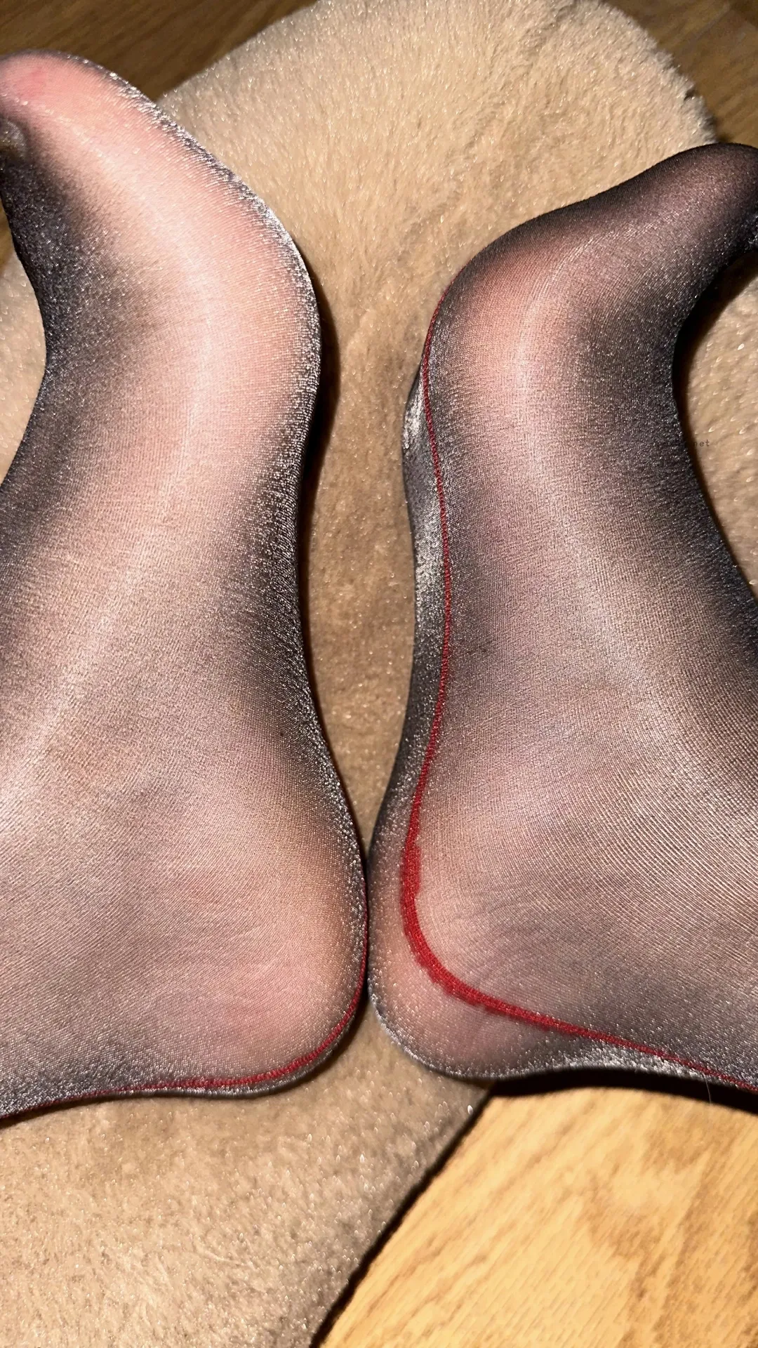 猪饲料 – 虾线油亮【21P】